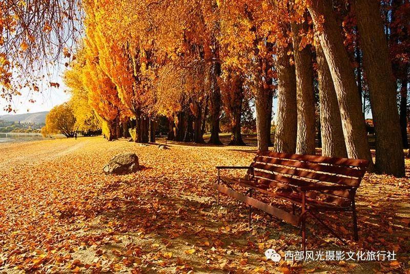 对于宝宝发脾气，宝妈是如何应对的游戏画面