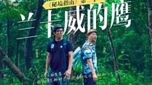 小猫钓鱼正版下载中文版