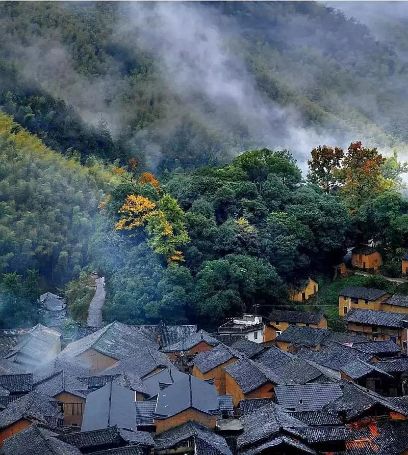 布莱顿德泽尔比:尽管输给卢顿,对球员们依然有绝对的信心天博