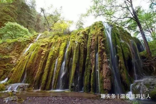 章鱼喷墨汁