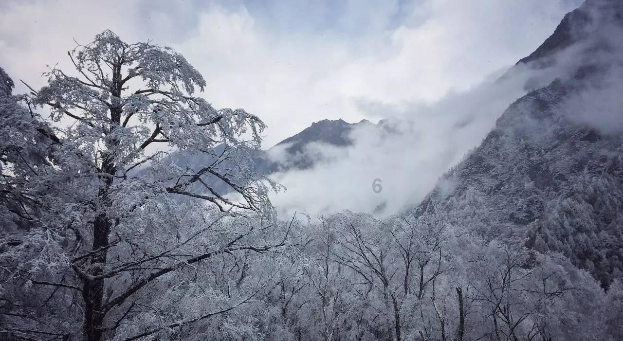 拯救精灵的土地6