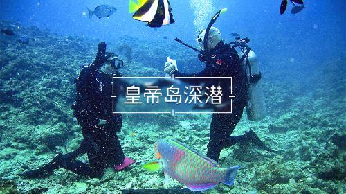 堕落之王