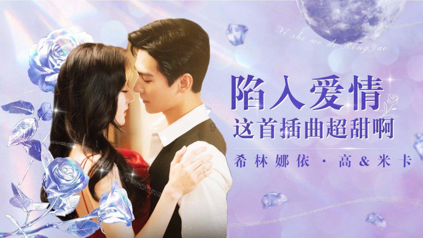 可爱的小考拉