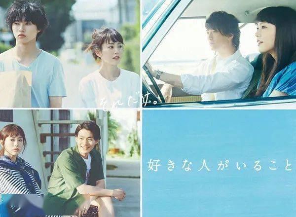 漂亮鹦鹉救援