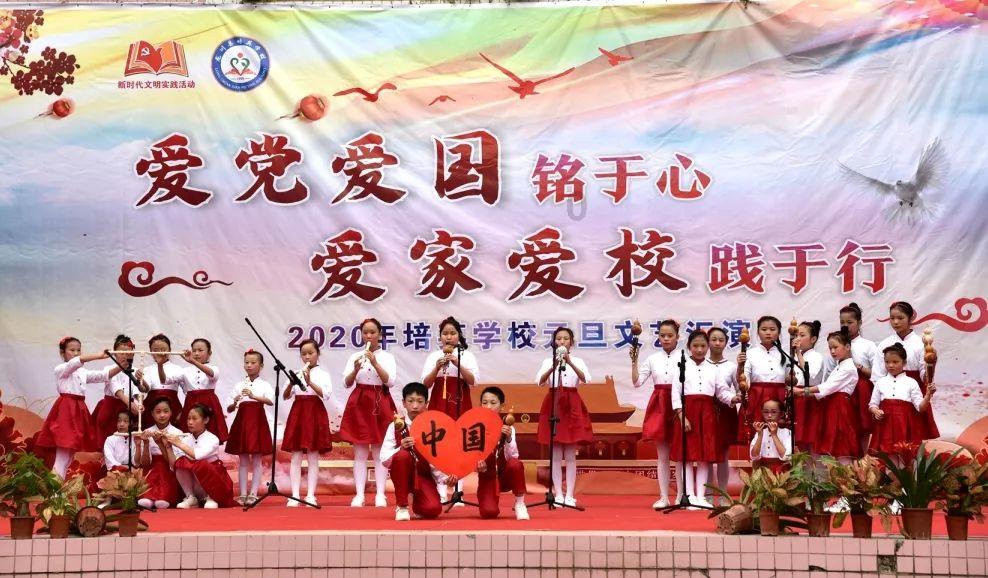 蝙蝠侠：阿甘骑士