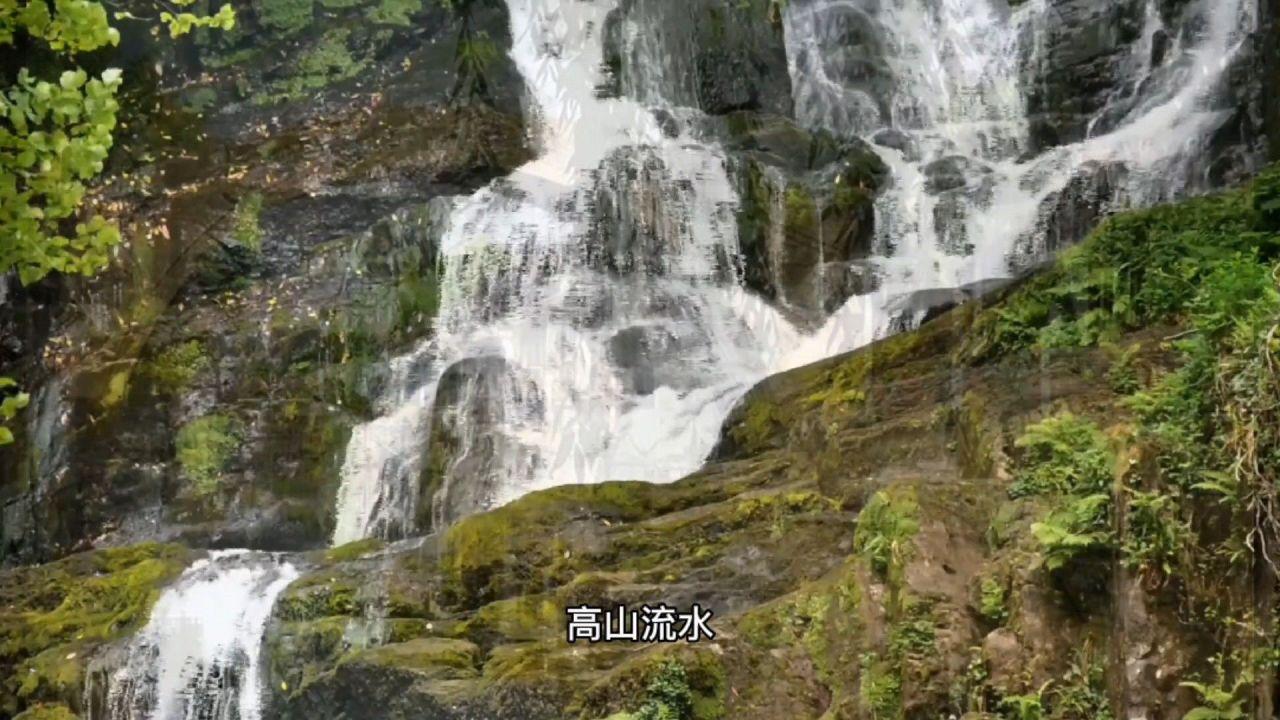 幽灵王营救