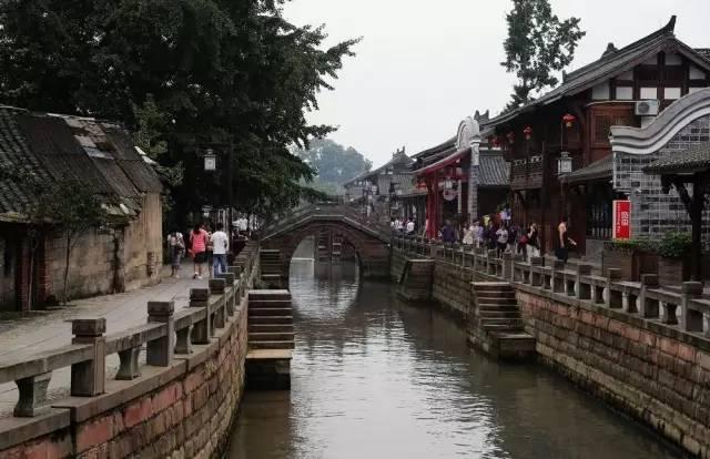 救援海盗章鱼
