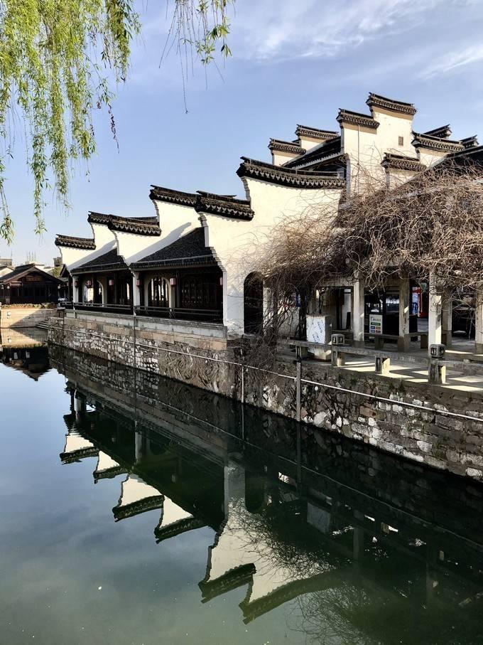 组装机械机甲暴龙2